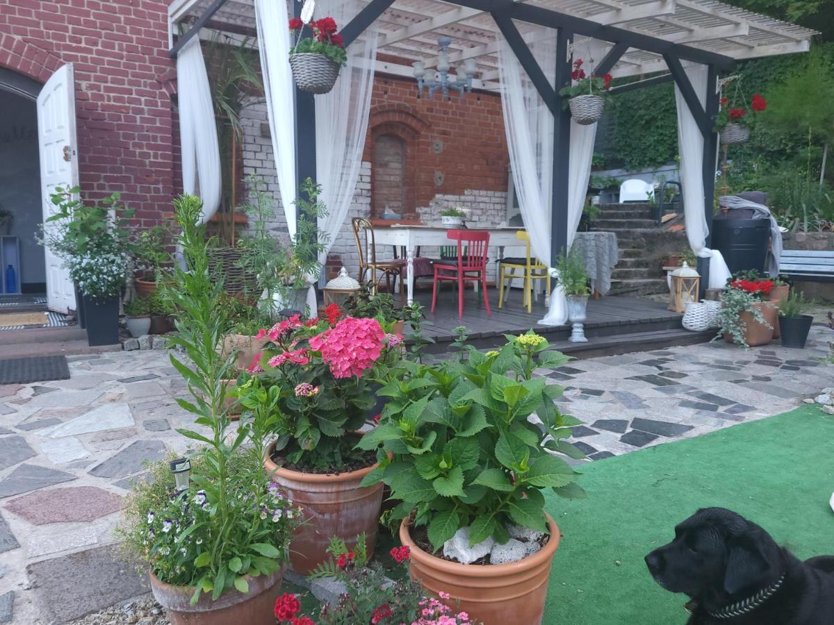 Krzywa Apartamenty Lidzbark Warmiński Exteriér fotografie