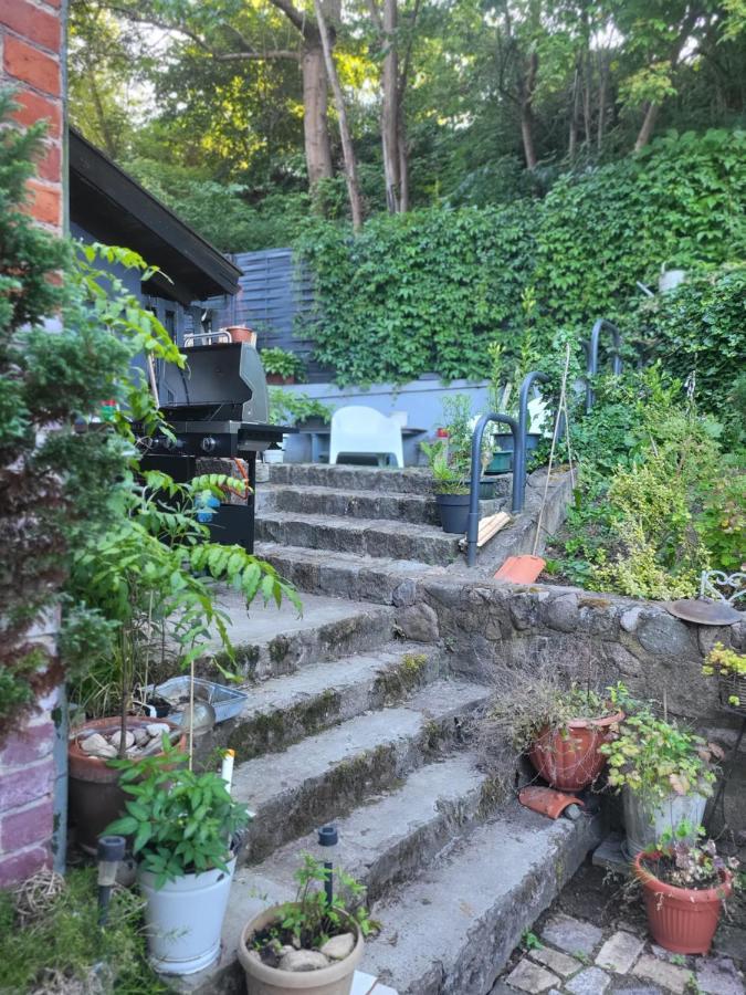 Krzywa Apartamenty Lidzbark Warmiński Exteriér fotografie